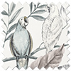Iquitos, Dove Grey - Motorised Roman Blind